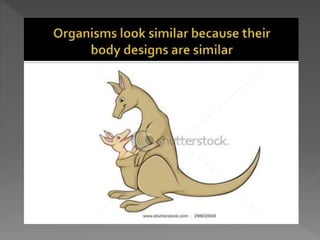 how do organisms reproduce