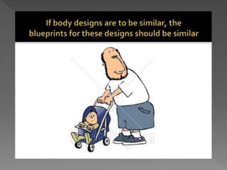 how do organisms reproduce