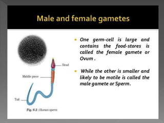 how do organisms reproduce