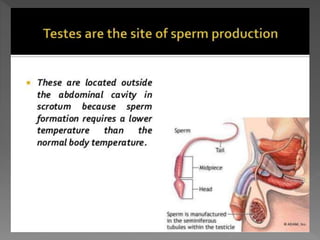 how do organisms reproduce