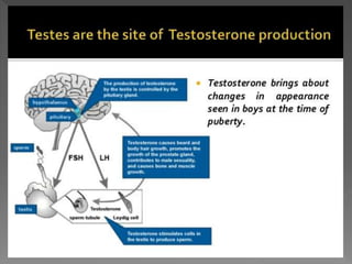 how do organisms reproduce