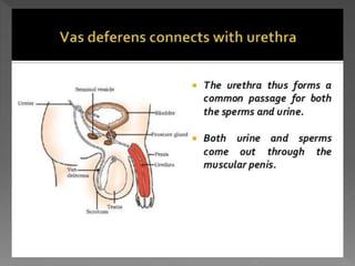 how do organisms reproduce