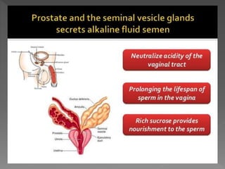 how do organisms reproduce