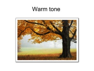 Warm tone
 
