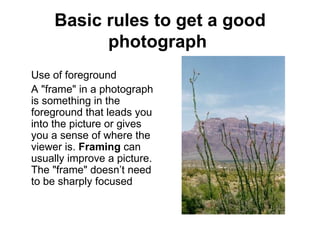 Basic rules to get a good
          photograph
Use of foreground
A "frame" in a photograph
is something in the
foreground that leads you
into the picture or gives
you a sense of where the
viewer is. Framing can
usually improve a picture.
The "frame" doesn’t need
to be sharply focused
 