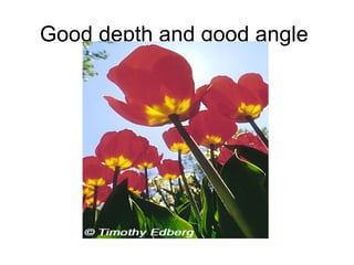 Good depth and good angle
 