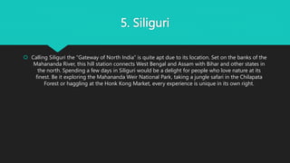 5. Siliguri
 Calling Siliguri the “Gateway of North India” is quite apt due to its location. Set on the banks of the
Mahananda River, this hill station connects West Bengal and Assam with Bihar and other states in
the north. Spending a few days in Siliguri would be a delight for people who love nature at its
finest. Be it exploring the Mahananda Weir National Park, taking a jungle safari in the Chilapata
Forest or haggling at the Honk Kong Market, every experience is unique in its own right.
 