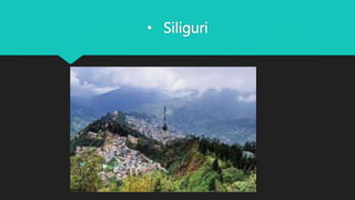 • Siliguri
 
