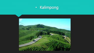 • Kalimpong
 