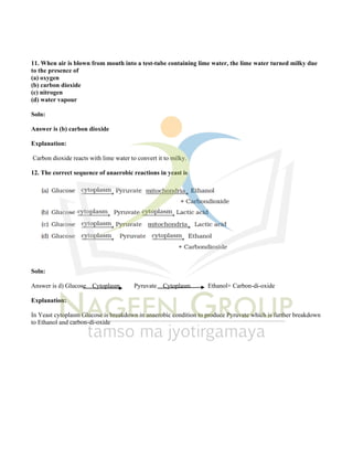 Class X Science Notes Chapter 5 Life Processes | PDF