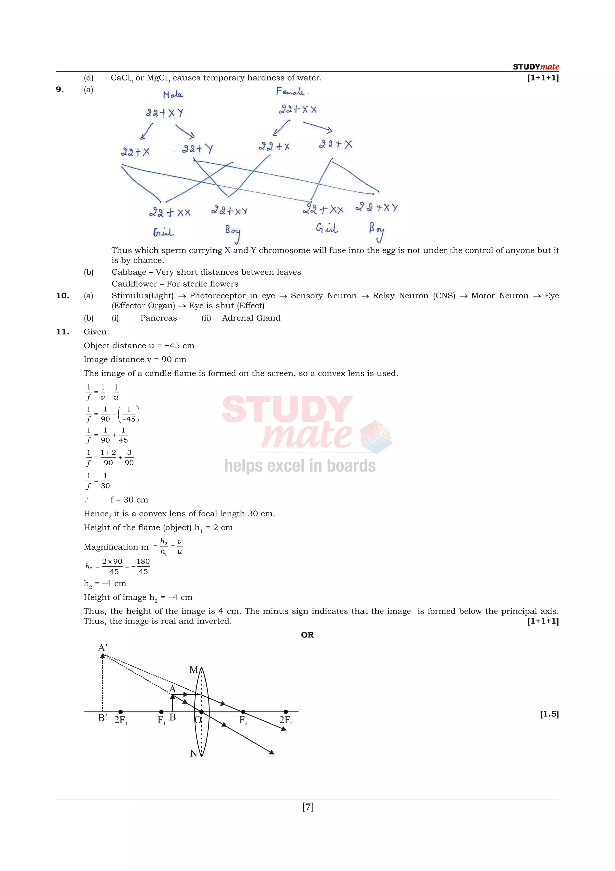  [7]
	 (d)	CaCl2
or MgCl2
causes temporary hardness of water.			 [1+1+1]
9.	(a)	
		 Thus which sperm carrying X and Y chromosome will fuse into the egg is not under the control of anyone but it
is by chance.
	 (b)	 Cabbage – Very short distances between leaves
	 	 Cauliflower – For sterile flowers
10.	(a)	 Stimulus(Light) → Photoreceptor in eye → Sensory Neuron → Relay Neuron (CNS) → Motor Neuron → Eye
(Effector Organ) → Eye is shut (Effect)
	 (b)	 (i)	 Pancreas	 (ii)	 Adrenal Gland
11.	Given:
	 Object distance u = −45 cm
	 Image distance v = 90 cm
	 The image of a candle flame is formed on the screen, so a convex lens is used.
	
1 1 1
f v u
= −
	
1 1
90
1
45f
= −
−






	
1 1
90
1
45f
= +
	
1 1 2
90
3
90f
=
+
+
	
1 1
30f
=
	 	 f = 30 cm
	 Hence, it is a convex lens of focal length 30 cm.
	 Height of the flame (object) h1
= 2 cm
	 Magnification m= =
h
h
v
u
2
1
	 h2
2 90
45
180
45
=
×
−
= −
	h2
= –4 cm
	 Height of image h2
= −4 cm
	 Thus, the height of the image is 4 cm. The minus sign indicates that the image  is formed below the principal axis.
Thus, the image is real and inverted.			 [1+1+1]
OR
	 			
[1.5]
 