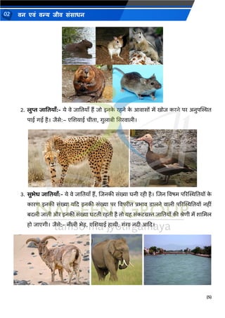 (5)
िन एिं िन्य िीि संसाधन
02
2. लुप्त जावतयााँ:- ये वे जानतयााँ हैं जो इिक
े रहिे क
े आवासों में खोज करिे पर अिुपस्थस्थत
पाई गई है। जैसे:– एणशयाई चीता, गुलाबी ससरवाली।
3. सुभेध जावतयााँ:- ये वे जानतयााँ हैं, णजिकी संख्या घिी रही है। णजि ववषम पररस्थस्थनतयों क
े
कारण इिकी संख्या यदद इिकी संख्या पर ववपरीत प्रर्ाव डालिे वाली पररस्थस्थनतयों िहीं
बदली जाती और इिकी संख्या घटती रहती है तो यह संकटग्रस्त जानतयों की श्रेणी में शाममल
हो जाएगी। जैसे:- िीली र्ेड, एणशयाई हार्ी, गंगा िदी आदद।
 