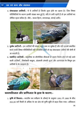 (6)
िन एिं िन्य िीि संसाधन
02
4. सांकटग्रस्त जावतयााँ:- ये वे जानतयााँ है णजिक
े लुप्त होिे का खतरा है। णजि ववषम
पररस्थस्थनतयों क
े कारण इिकी संख्या कम हुई है, यदद वे जारी रहती हैं तो इि जानतयों का
जीववत रहिा कठिि है। जैसे:- काला हहरण, मगरमच्छ, संगाई आदद।
5. दुललभ जावतयााँ:- इि जानतयों की संख्या बहुत कम या सुर्ेद्य हैं और यदद इिको प्रर्ाववत
करिे वाली ववषम पररस्थस्थनतयााँ िहीं पररवर्ततत होती तो यह संकटग्रस्त जानतयों की श्रेणी में
आ सकती हैं।
6. िाननक जावतयााँ:- प्राक
ृ नतक या र्ौगोणलक सीमाओं से अलग ववशेष क्षेत्रों में पाई जािे
वाली जानतयााँ , निकोबारी कबूतर, अंडमािी जंगली सुअर और अरुणाचल क
े ममर्ुि इि
जानतयों क
े क
े उदाहरण हैं।
वनस्पवतजात औि प्राणिजात क
े ह्रास क
े कािि:-
1. क
ृ वि में ववस्ताि:- र्ारतीय वि सवेक्षण क
े आाँकडे क
े अिुसार 1951 से 1980 क
े बीच
262,00 वगथ दकमी से अमधक क
े वि क्षेत्र को क
ृ षष र्ूमम में बदल ददया गया। अमधकतर
 