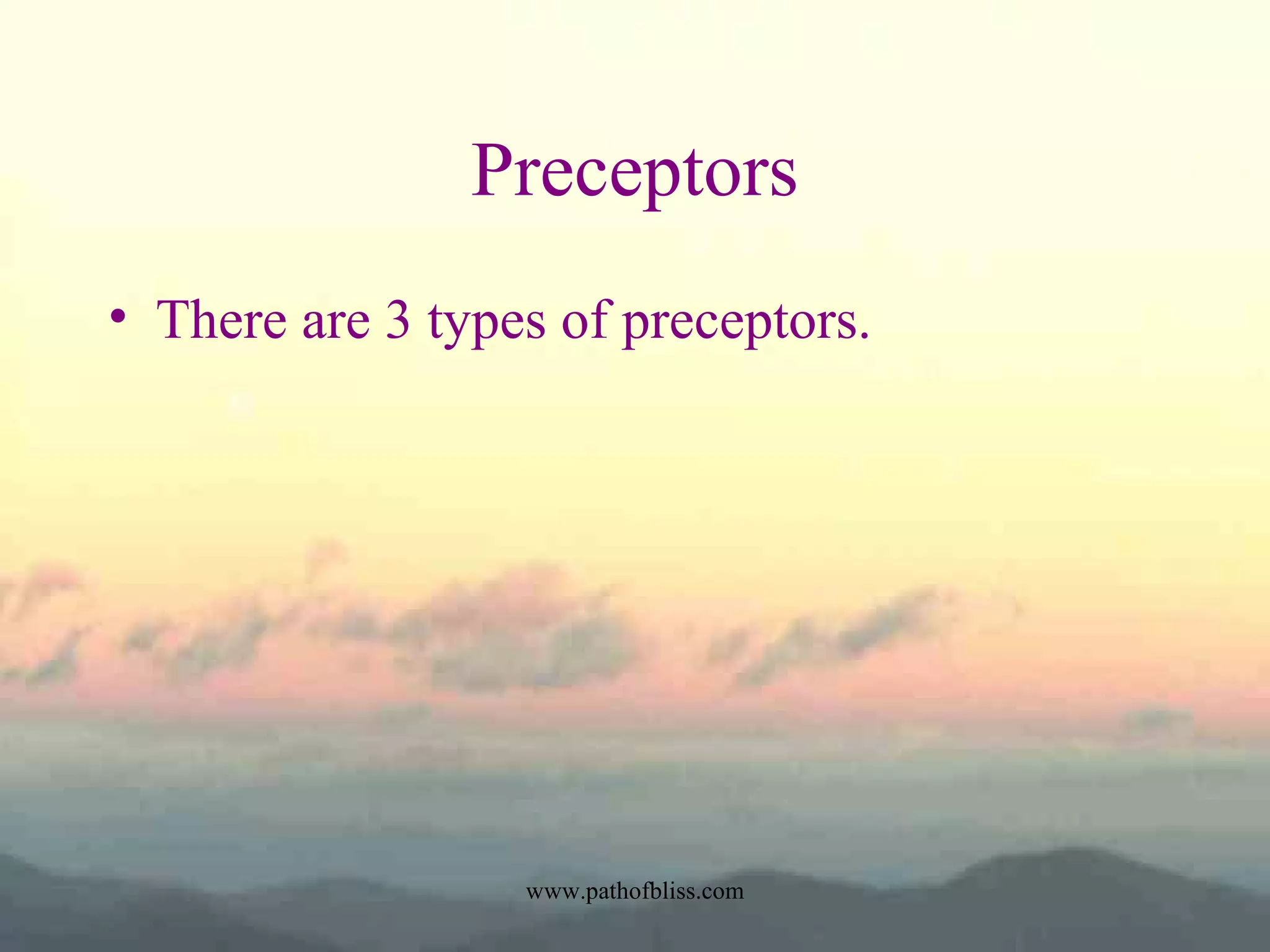 Preceptors
• There are 3 types of preceptors.

www.pathofbliss.com

 