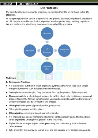 Short Revision Notes for Class 10th CBSE Science (by Abhinav Gaur K.) | PDF