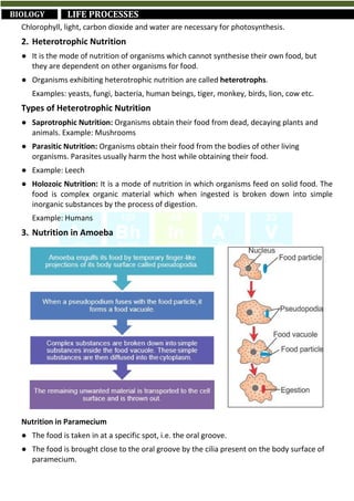 Short Revision Notes for Class 10th CBSE Science (by Abhinav Gaur K.) | PDF