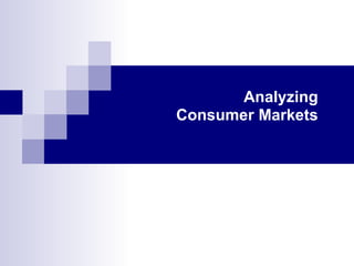 Analyzing Consumer Markets 