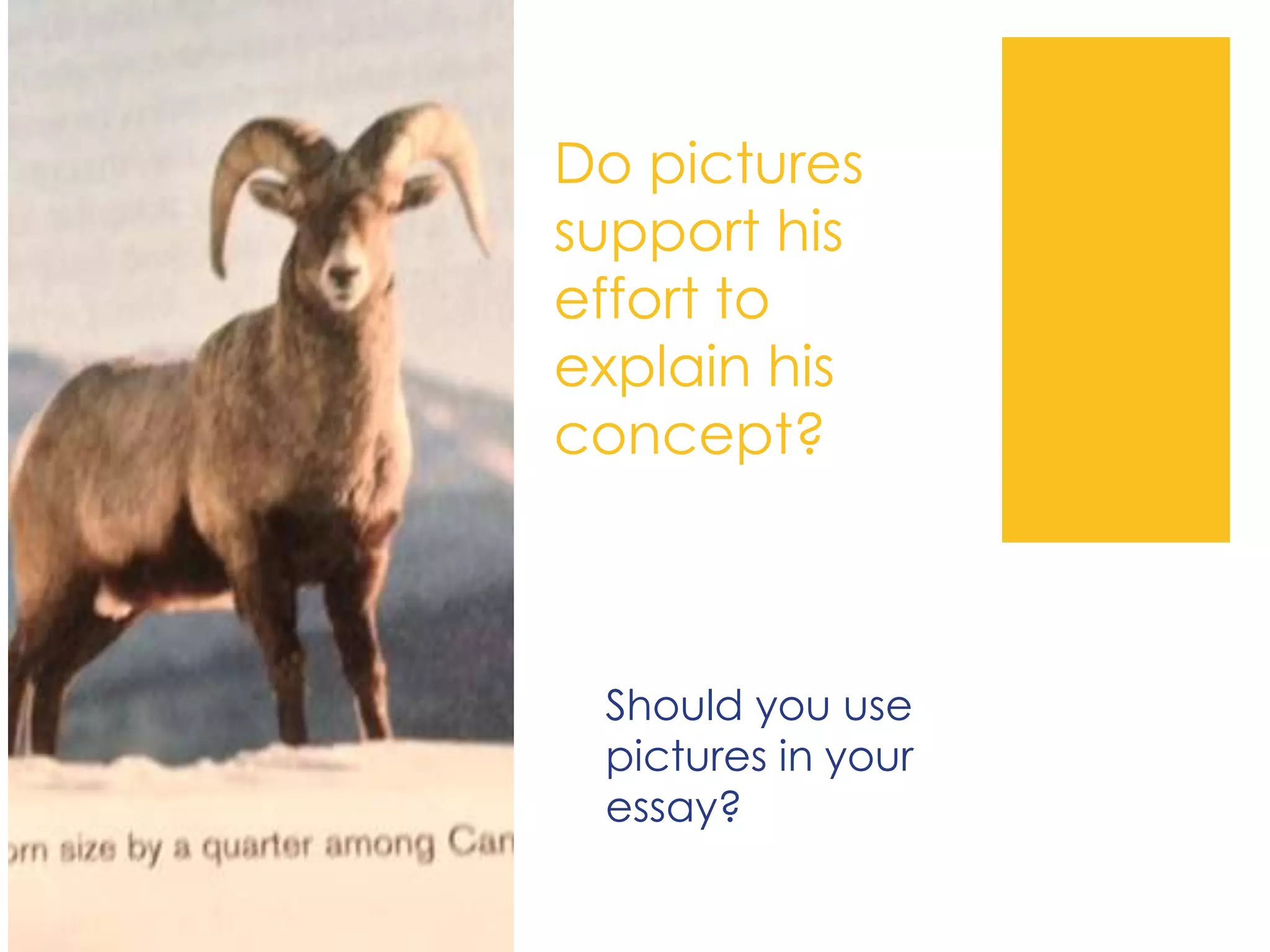 Do pictures
support his
effort to
explain his
concept?
Should you use
pictures in your
essay?
 