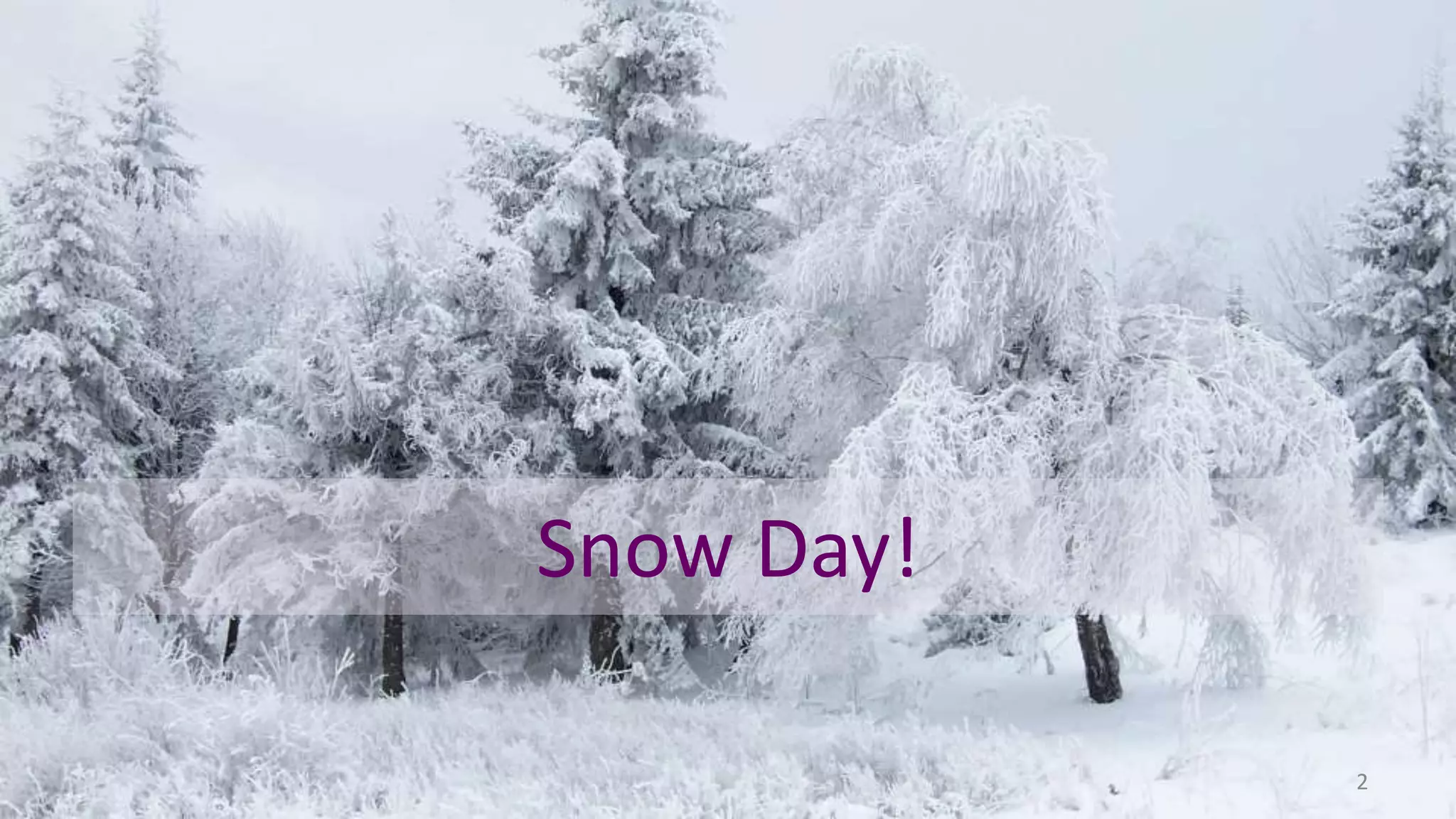 Snow Day!
2
 