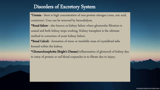 *Uremia– there is high concentration of non-protein nitrogen (urea, uric acid,
creatinine). Urea can be removed by hemodialysis.
•Renal failure– also known as kidney failure where glomerular filtration is
ceased and both kidney stops working. Kidney transplant is the ultimate
method in correction of acute kidney failure.
•Renal Calculi– formation of stone or insoluble mass of crystallized salts
formed within the kidney.
•Glomerulonephritis (Bright’s Disease)-inflammation of glomeruli of kidney due
to entry of protein or red blood corpuscles in to filtrate due to injury.
Disorders of Excretory System
 