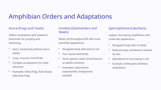 Class 11 Biology PPT Chapter 4 Animal Kingdom.pptx