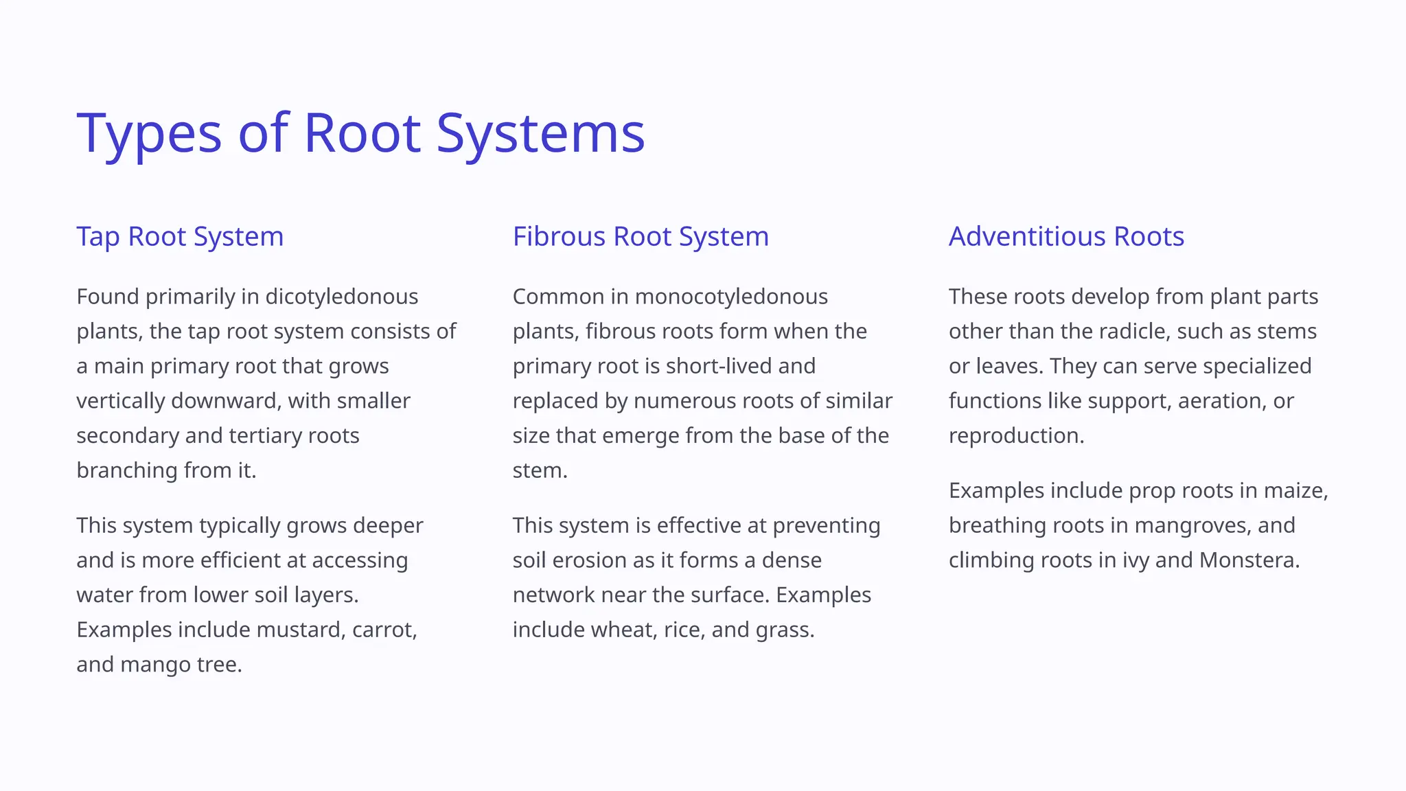Class_11_Biology_PPT_Chapter_5_Morphology_of_Flowering_Plants.pptx