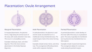 Class_11_Biology_PPT_Chapter_5_Morphology_of_Flowering_Plants.pptx