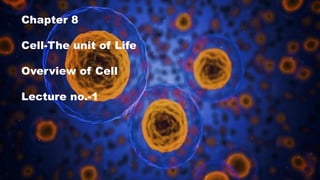 Class 11 Biology Structural Organisation in Animals (6) | PDF