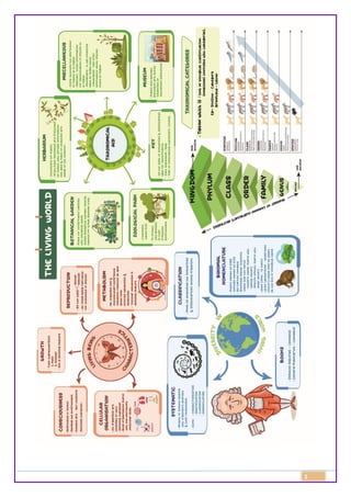 Class 11 Biology Topic Wise Line by Line Questions Chapter 1 Living ...