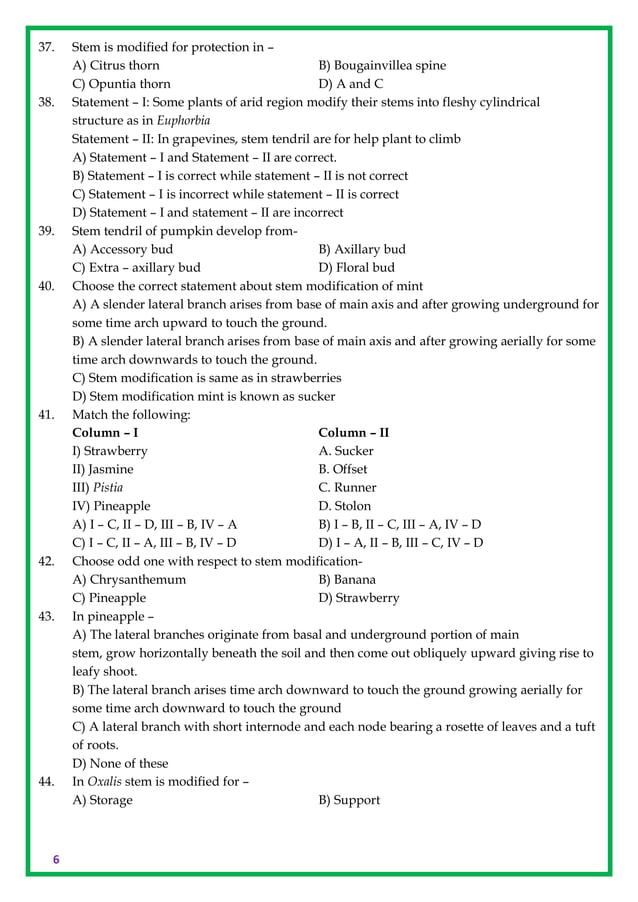 Class 11 Biology Topic Wise Line by Line Chapter 5 Morphology of ...