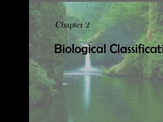 Class 11 chapter 2