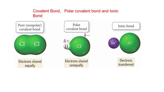 Class R Bonding Class 11 Chapter 4 Chemical Bonding and Molecular Structure.pptx ...