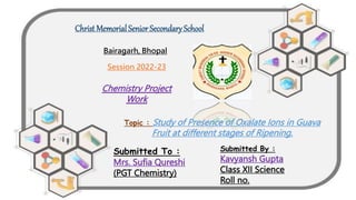 Christ Memorial Senior Secondary School
Session 2022-23
Bairagarh, Bhopal
Chemistry Project
Work
Topic : Study of Presence of Oxalate Ions in Guava
Fruit at different stages of Ripening.
Submitted To :
Mrs. Sufia Qureshi
(PGT Chemistry)
Submitted By :
Kavyansh Gupta
Class XII Science
Roll no.
 