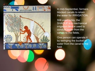 >> 0 >> 1 >> 2 >> 3 >> 4 >>
In mid-September, farmers
blocked canals to retain
the water for IRRIGATION.
Still used today, the
SHADUF is a mechanical
irrigation device used to
conduct water from the
canals to the fields.
One person can operate it
by swinging the bucket of
water from the canal to the
field
 