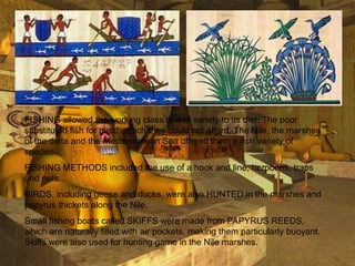 >> 0 >> 1 >> 2 >> 3 >> 4 >>
FISHING allowed the working class to add variety to its diet. The poor
substituted fish for meat, which they could not afford. The Nile, the marshes
of the delta and the Mediterranean Sea offered them a rich variety of
species.
FISHING METHODS included the use of a hook and line, harpoons, traps
and nets.
BIRDS, including geese and ducks, were also HUNTED in the marshes and
papyrus thickets along the Nile.
Small fishing boats called SKIFFS were made from PAPYRUS REEDS,
which are naturally filled with air pockets, making them particularly buoyant.
Skiffs were also used for hunting game in the Nile marshes.
 