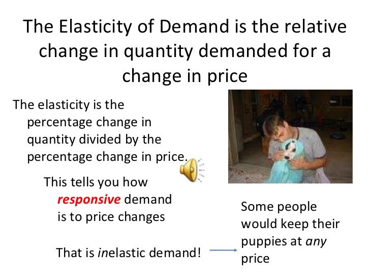 define price elasticity of demand class 11