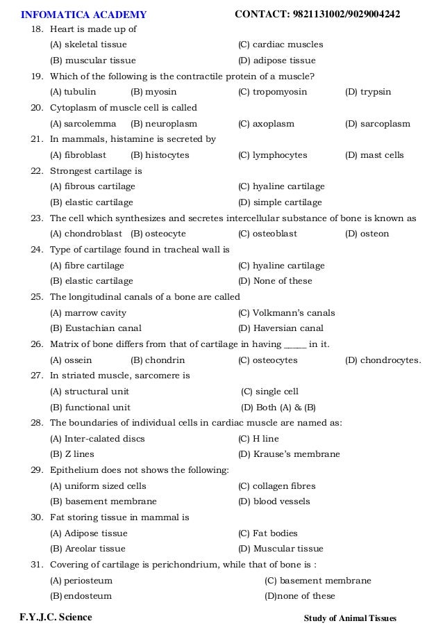 Class 11 Important Questions for Biology - Study of Animal Tissues