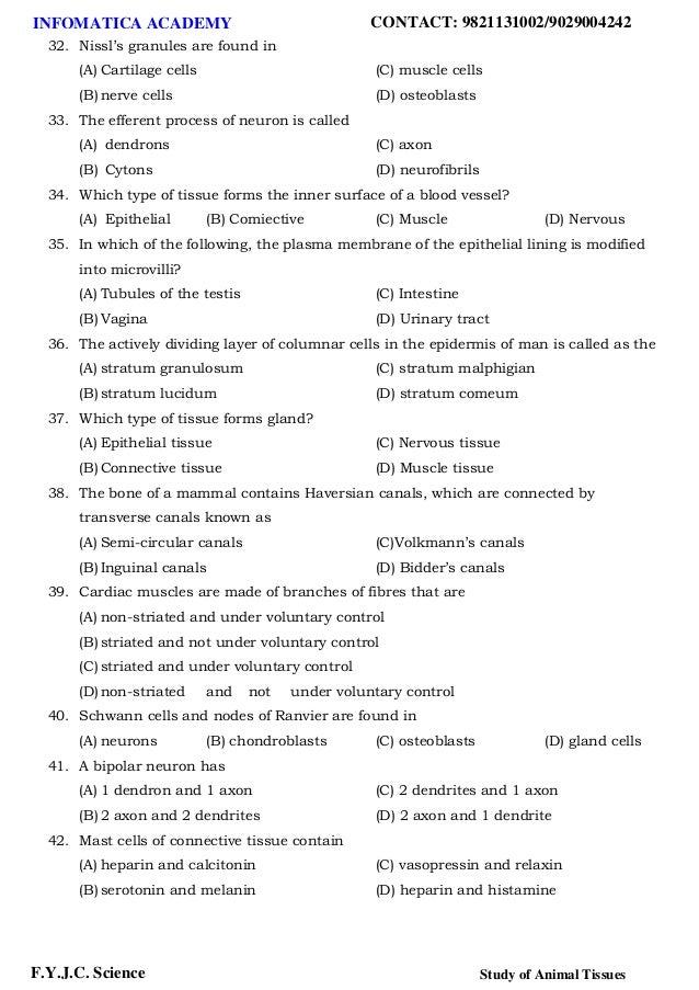 Class 11 Important Questions For Biology Study Of Animal Tissues