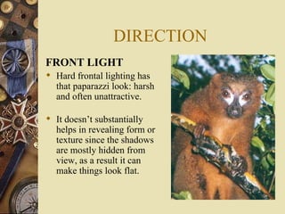 DIRECTION
FRONT LIGHT
 Hard frontal lighting has
  that paparazzi look: harsh
  and often unattractive.

 It doesn’t substantially
  helps in revealing form or
  texture since the shadows
  are mostly hidden from
  view, as a result it can
  make things look flat.
 