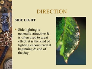 DIRECTION
SIDE LIGHT

 Side lighting is
  generally attractive &
  is often used to great
  effect: it is the kind of
  lighting encountered at
  beginning & end of
  the day.
 