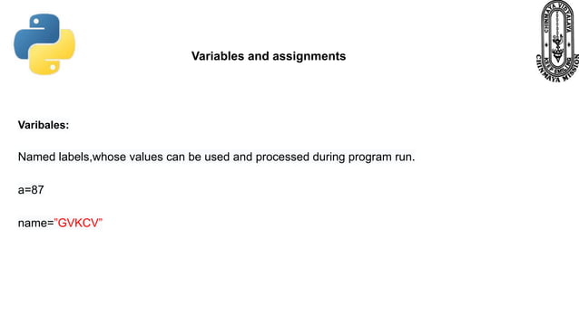 Python Fundamentals Class 11 | PDF | Programming Languages | Computing