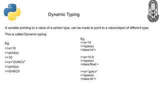 Python Fundamentals Class 11 | PDF | Programming Languages | Computing