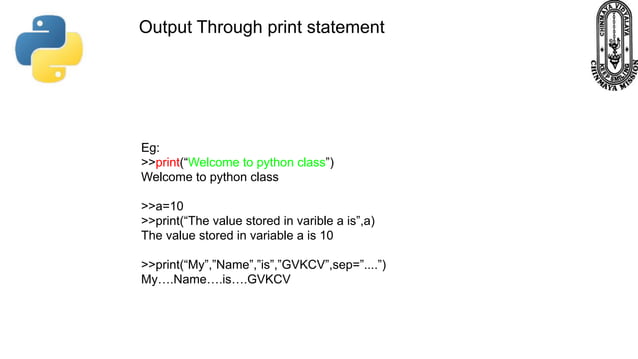 Python Fundamentals Class 11 | PDF | Programming Languages | Computing