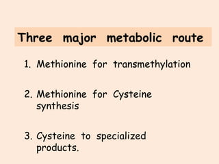 Sulphur containing amino acids metabolism | PPT