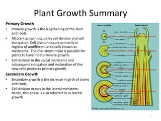 Plant Growth Summary ,[object Object],[object Object],[object Object],[object Object],[object Object],[object Object],[object Object]