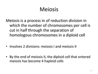 Class 12 | PPT