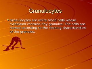 Granulocytes
Granulocytes are white blood cells whose
cytoplasm contains tiny granules. The cells are
named according to the staining characteristics
of the granules.

 