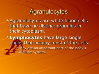 Agranulocytes
Agranulocytes are white blood cells
that have no distinct granules in
their cytoplasm.
Lymphocytes have large single
nuclei that occupy most of the cells.
They are an important part of the body's
immune system.

 