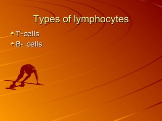 Types of lymphocytes
T-cells
B- cells

 