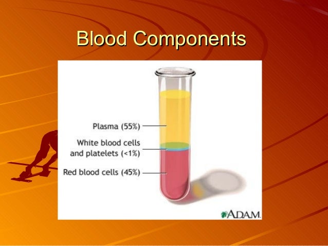 Blood components percentage